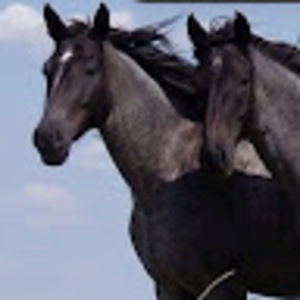 Meet your Posher, Jaylynn